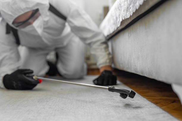 Professional Bed Bug Control technician working in Watervliet, NY