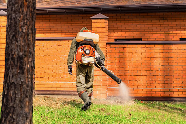 Trusted Rodent Control service in Watervliet, NY - Nex Pest Control